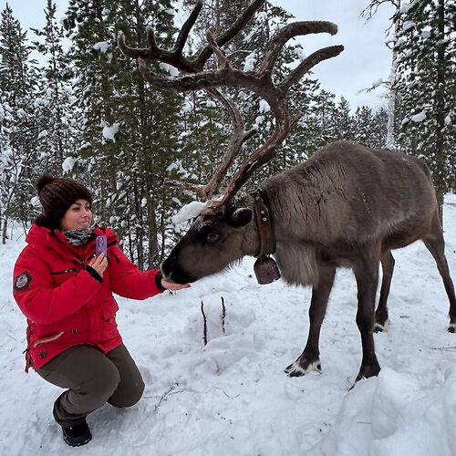 Husky Park Murmansk