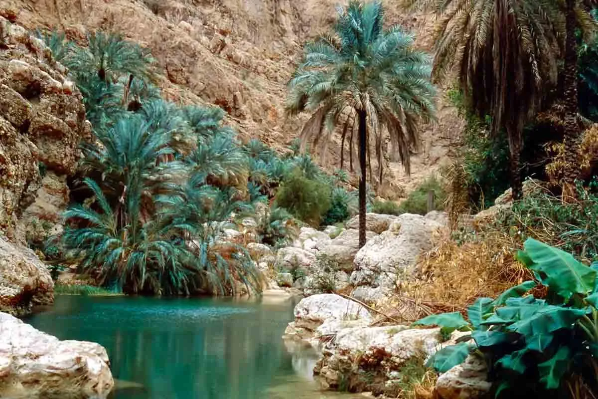 قیمت تور عمان از تهران