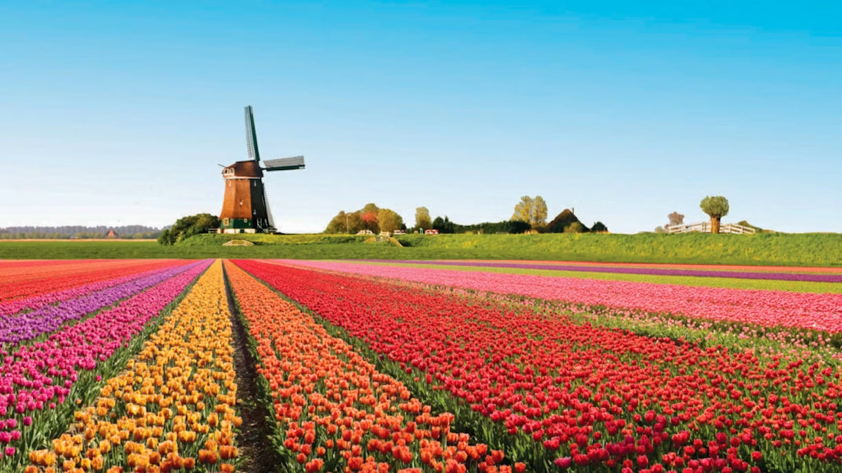 Keukenhof