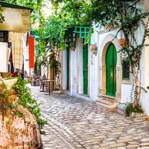 تور تونس 22 تا 28 خرداد
